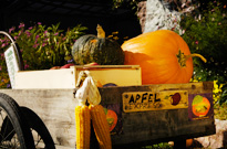 Apfelexpress