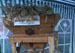 Bild 2010 2
