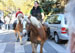 Bild 2010 32