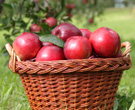 Äpfel und Apfelsaft