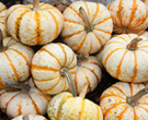 Gemüse und Obst